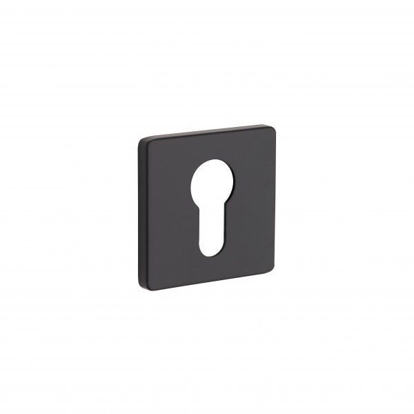 Escutcheon PZ SLIM RO21Y AL6