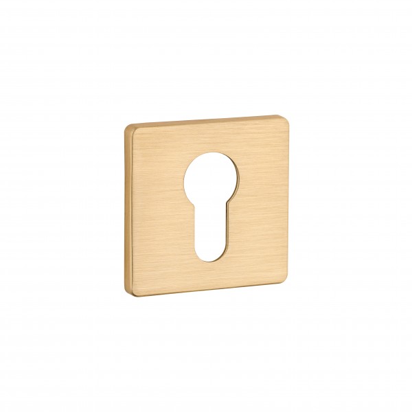 Escutcheon PZ SLIM RO21Y BB